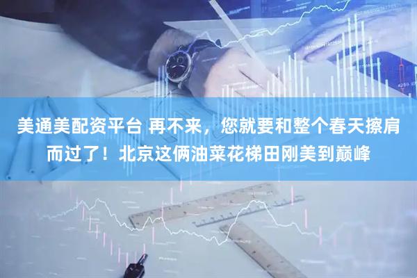 美通美配资平台 再不来，您就要和整个春天擦肩而过了！北京这俩油菜花梯田刚美到巅峰
